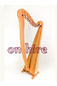 myceltic34nat_hire